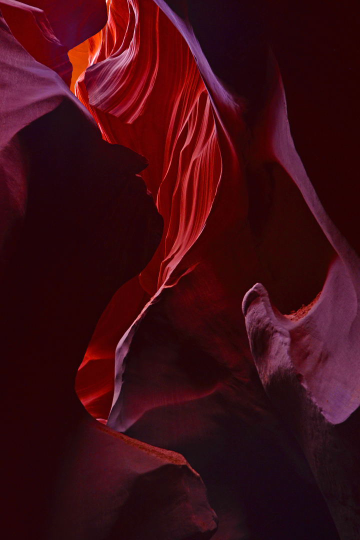 Paréidolie (4/2019)