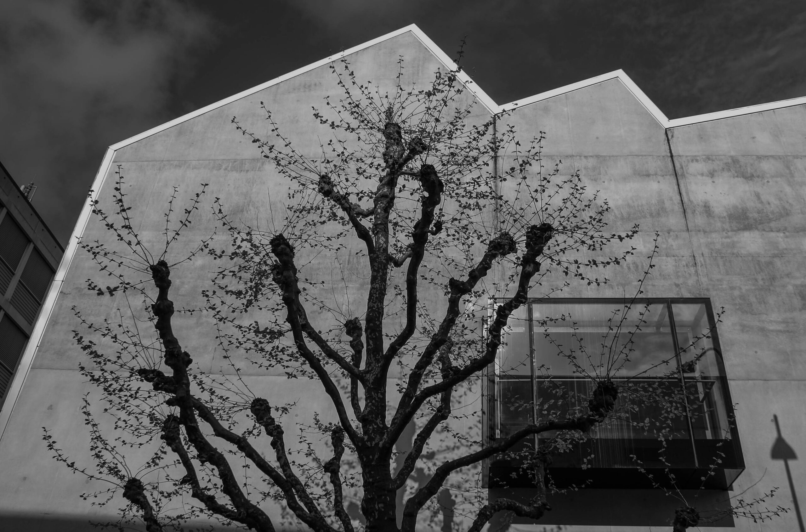 Photos cours 2023