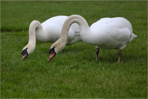 cours2012 02