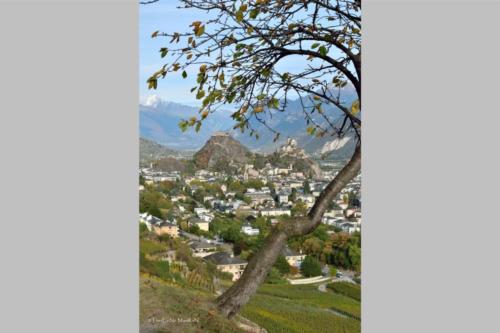 concours20174 mauron lucienne 001