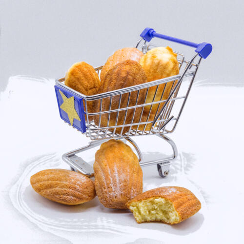 financiers