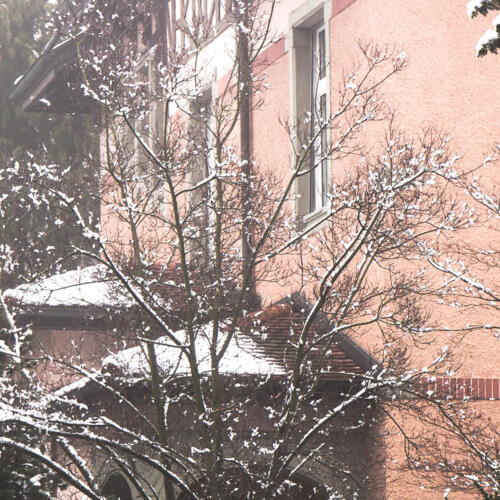 pastel hivernal
