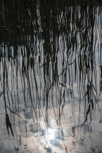 reflets