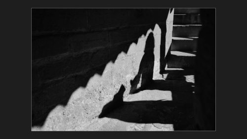 12.-2026-09-sortie-rempart-12