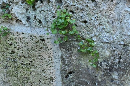33.-2026-09-sortie-rempart-33