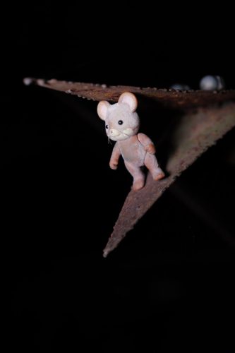 PCF-Toy-photography-2026-1007638