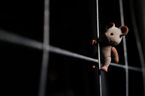 PCF-Toy-photography-2026-1007642