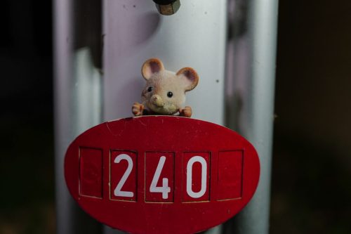 PCF-Toy-photography-2026-1007645