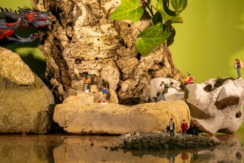 PCF-Toy-photography-2026-504132